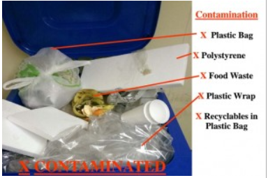 Plastic Bags Recycling Tips